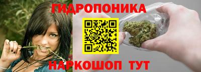 бошки Гатчина