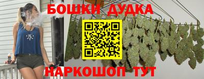 бошки Гатчина
