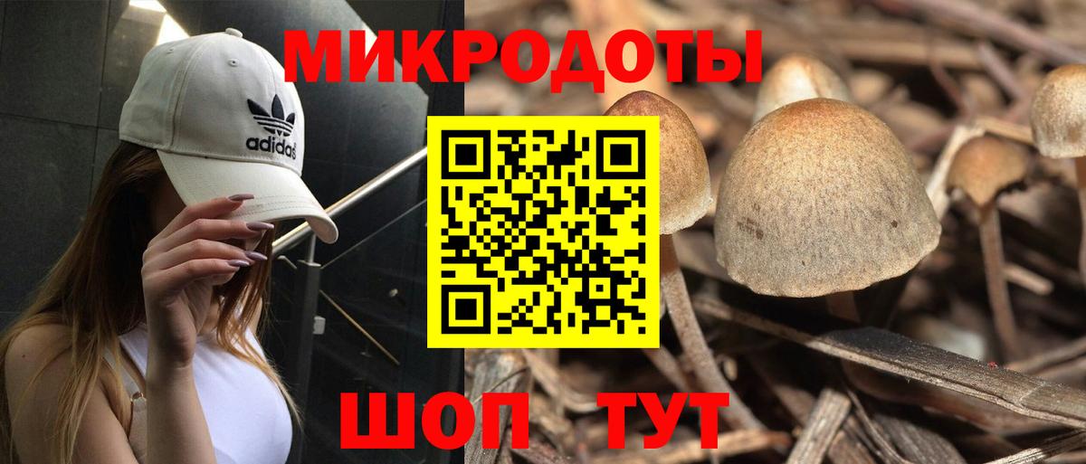 Набережные Челны  Псилоцибиновые грибы Cubensis  Вход с VPN 