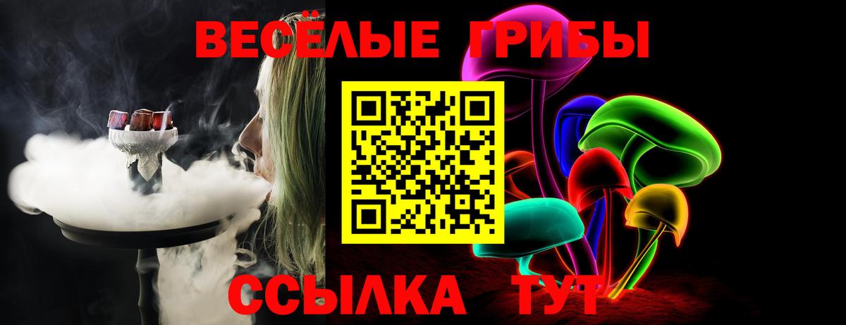 Псилоцибиновые грибы GOLDEN TEACHER Набережные Челны